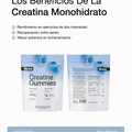 Gominolas de Creatina Monohidrato — Bikaine