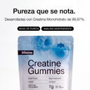 Gominolas de Creatina Monohidrato — Bikaine